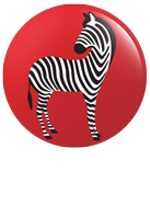 CEBRA